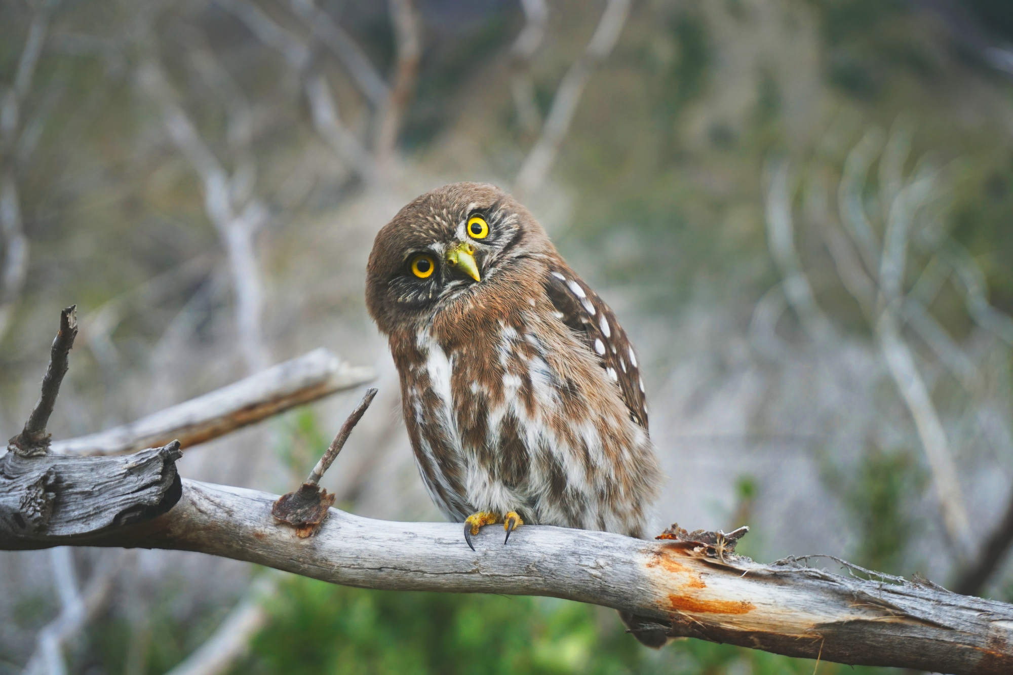 Какую зарплату просить соискателю в резюме?