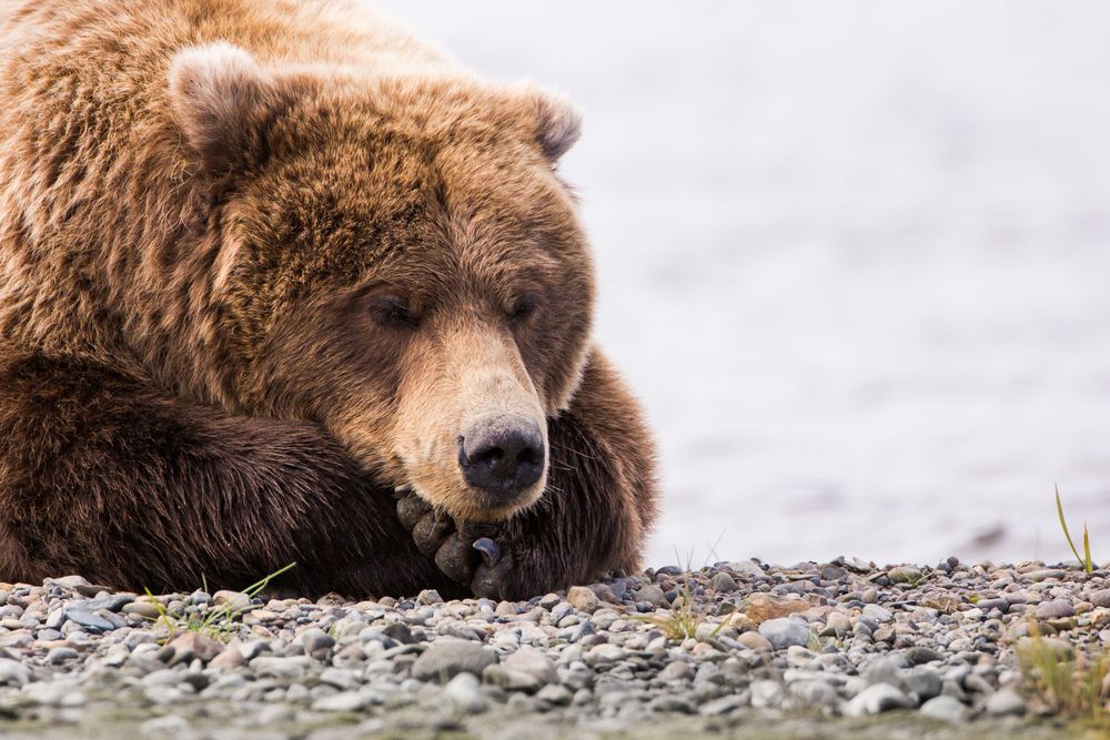 Переутомление на работе мешает жить. Как справиться?