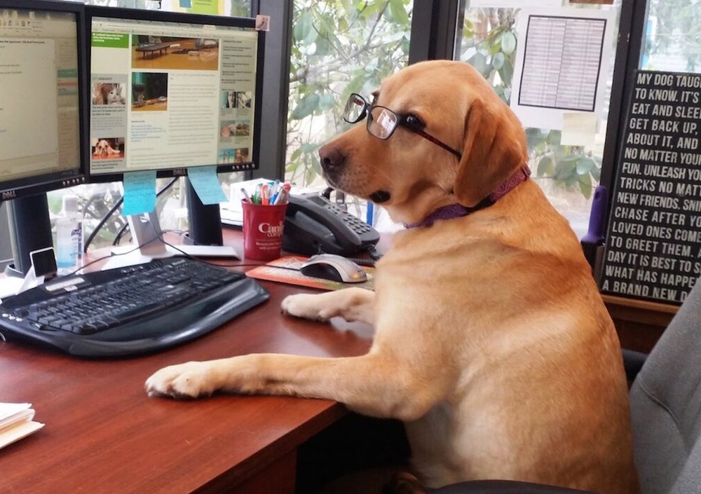 В России набирает популярность частичная занятость