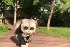 Россияне урезали свои траты на путешествия и походы в кафе