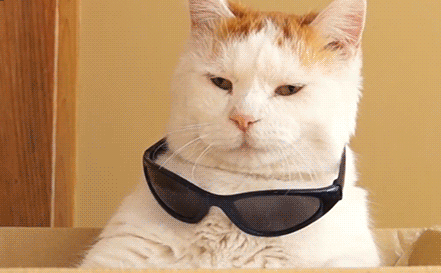 Брать ли на работу «сотрудника-бумеранга»?