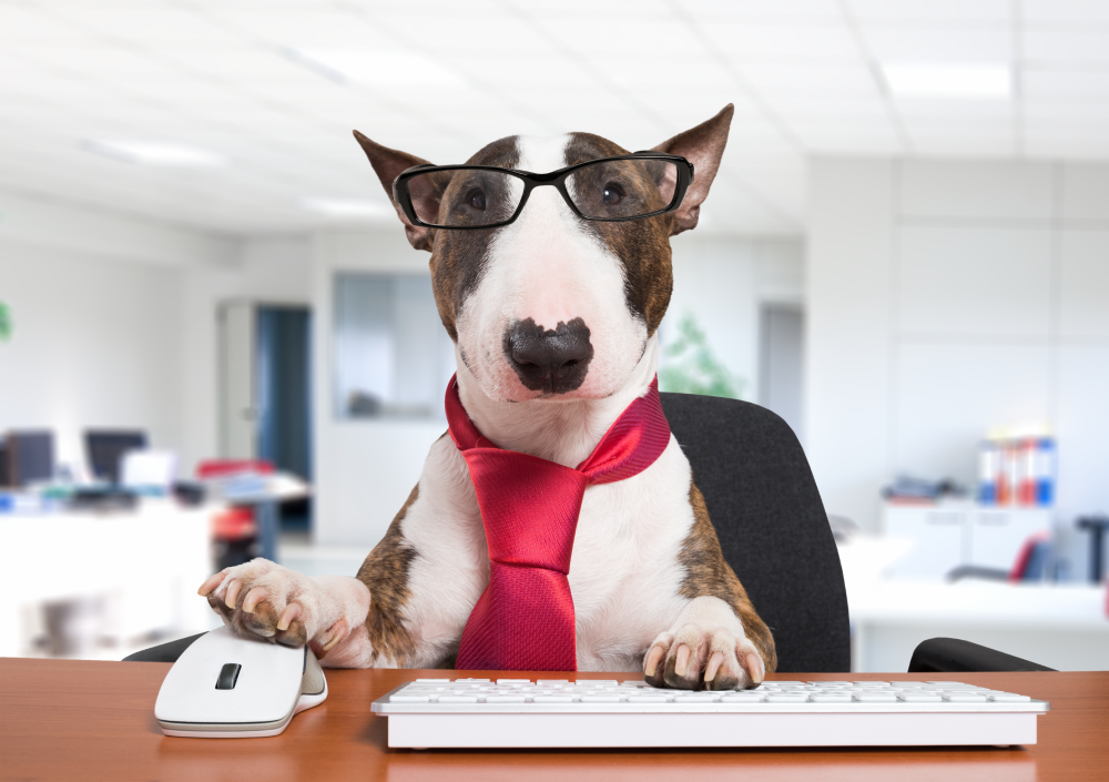 Россияне придумывают, как сэкономить на отдыхе