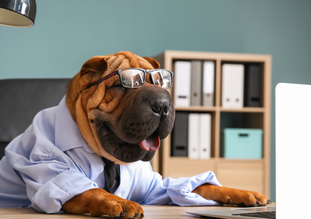 Каждый третий россиянин собирается повторно привиться от коронавируса