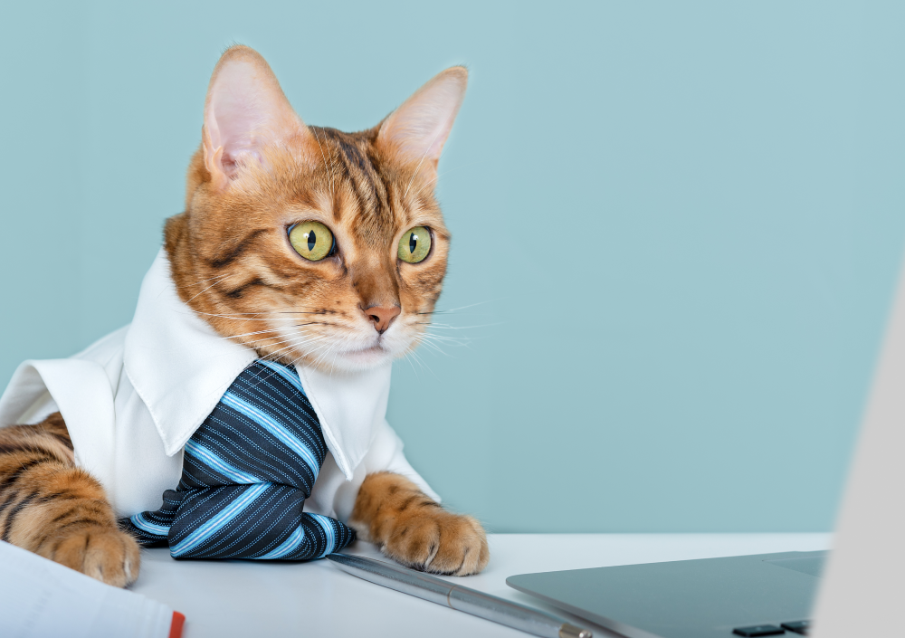 Россияне перечислили самые денежные профессии