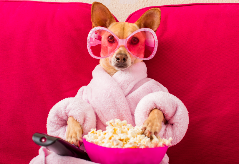 «Ты не понимаешь дресс-код и срываешь сроки»: истории фееричных провалов на работе