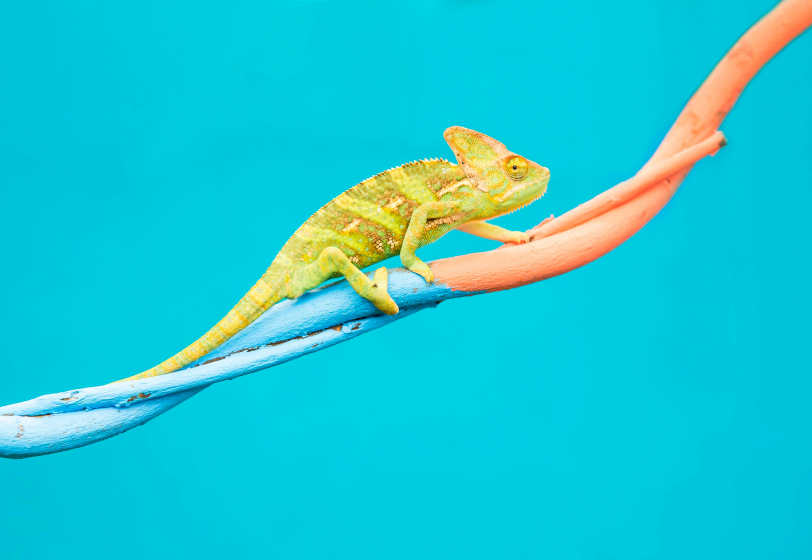 «При той же должности зарплата выросла в 2,5 раза»: время прокачивать трудовую мобильность