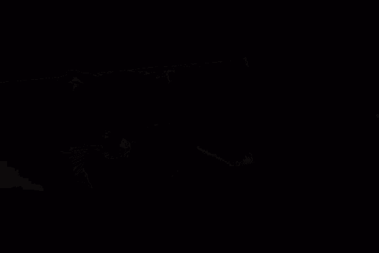 «Заболела, ну и что? Ребята подстраховали»: разбираем стереотипы о фрилансе на примере команды Зарплаты.ру