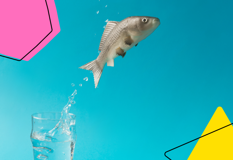 Южная Корея заплатит молодым «затворникам» по 490 долларов в месяц, чтобы они выходили из дома