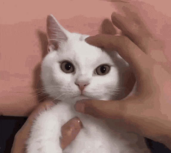 «Сделайте так же, но дешевле»: шесть историй о том, что раздражает в работе