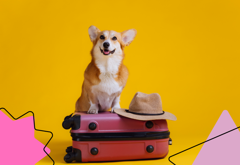 Треть молодых россиян регулярно уходят в «тихий отпуск»