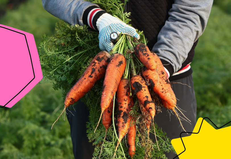 Депутаты предложили снизить пенсионный возраст для одной категории работников