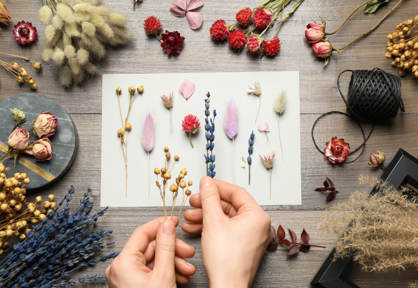 О чем говорят хобби кандидата